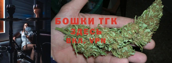 стаф Козельск