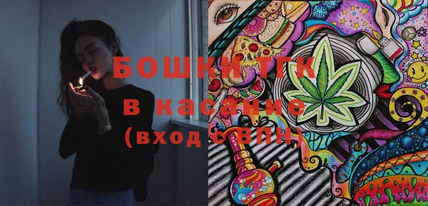 стаф Козельск