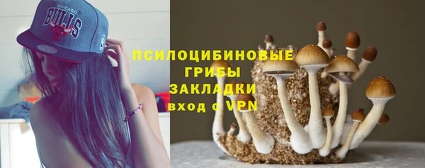стаф Козельск