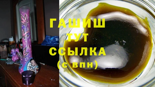 стаф Козельск