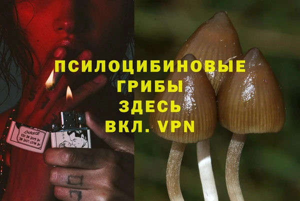 стаф Козельск